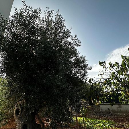 Casa Bianca Relax Διαμέρισμα Castellana Grotte Εξωτερικό φωτογραφία