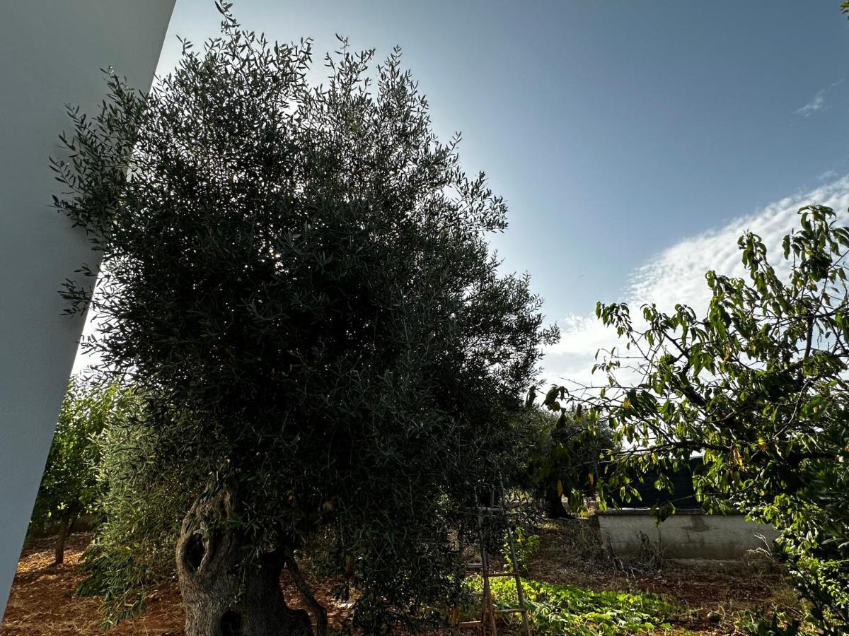 Casa Bianca Relax Διαμέρισμα Castellana Grotte Εξωτερικό φωτογραφία