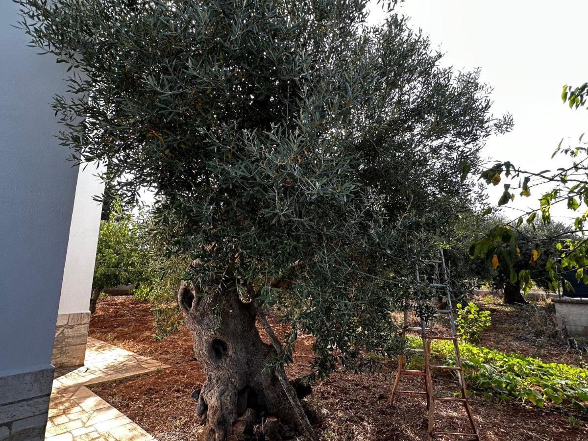 Casa Bianca Relax Διαμέρισμα Castellana Grotte Εξωτερικό φωτογραφία